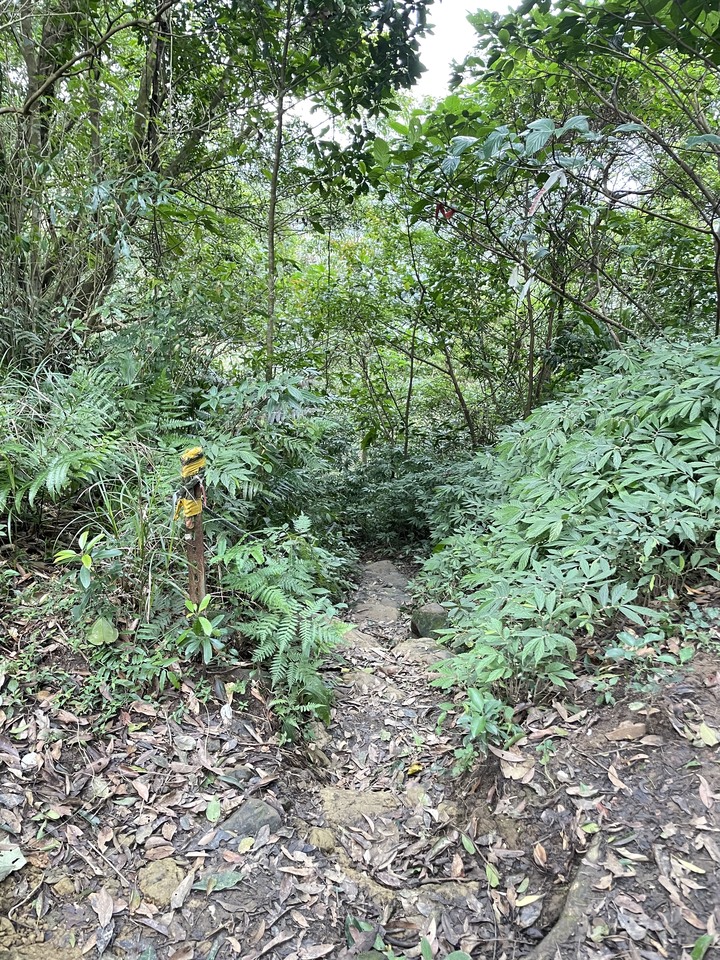 台北哪裡看雲海？二格山