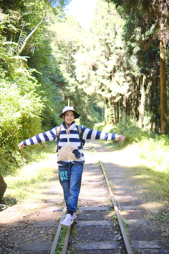 點我看大圖 【水山巨木步道 】一條結合阿里山森林鐵道文化與探訪千年水山巨木的步道