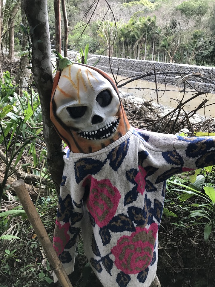 革命前夕之臨時起意摩托車環島旅行