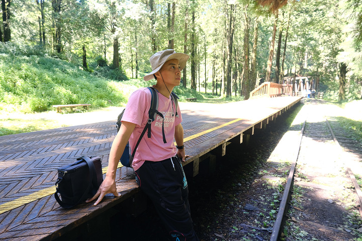 點我看大圖 【水山巨木步道 】一條結合阿里山森林鐵道文化與探訪千年水山巨木的步道
