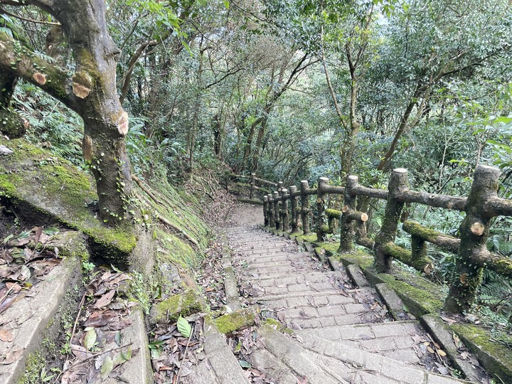 台北哪裡看雲海？二格山