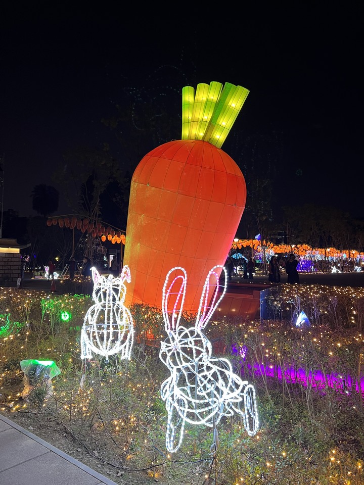 春節 / 走春 , 花燈 / 櫻花 !