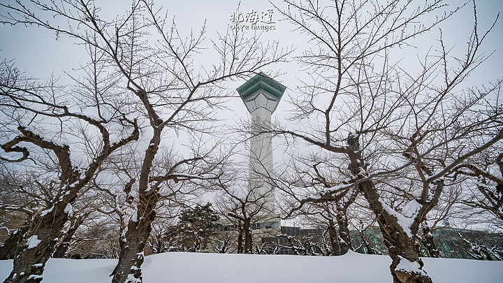 ++ OhYa ++ 北海道。冬季戀歌