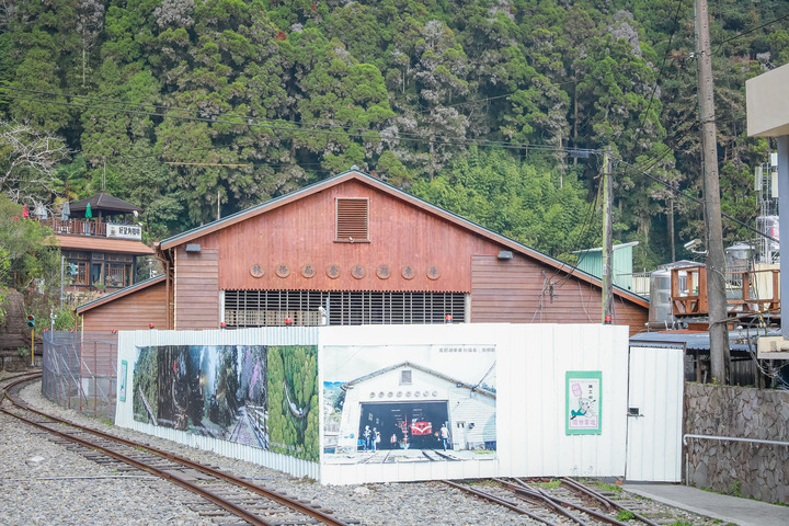 點我看大圖 阿里山櫻之道、奮起湖老街,深山處遇見滿開櫻花的露營區