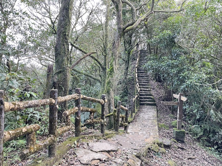 台北哪裡看雲海？二格山