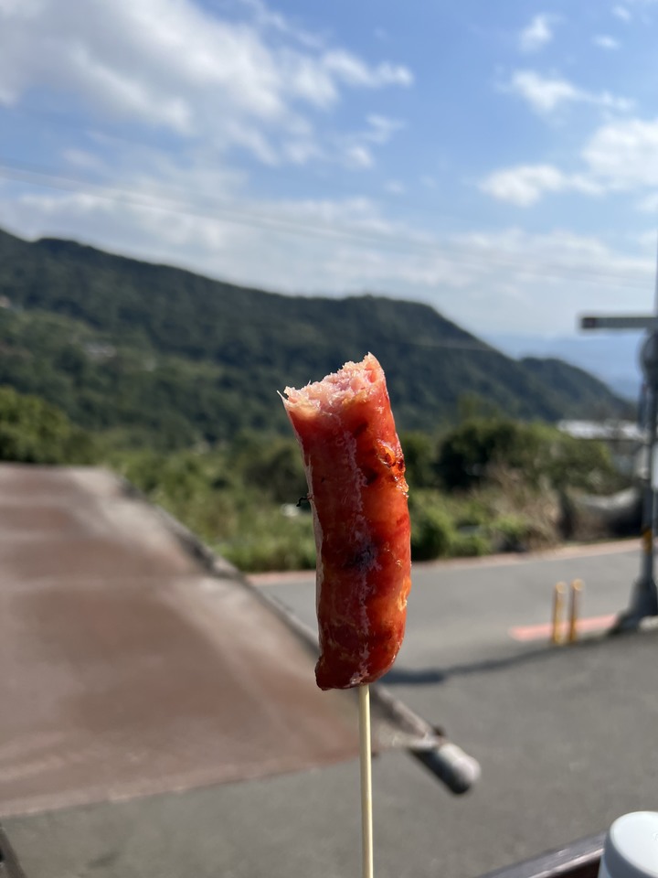 春節 / 走春 , 花燈 / 櫻花 !