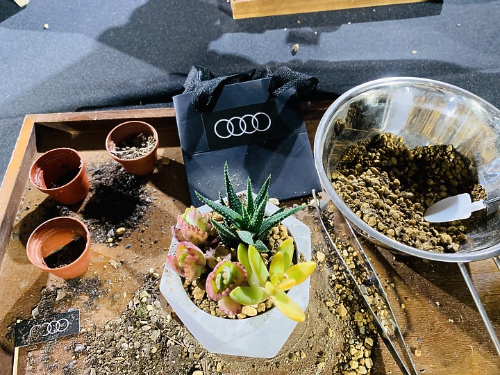 Audi Q系列越野駕馭體驗營−奧迪駕馭內心的激情！