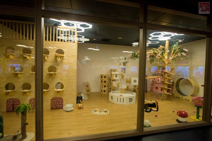 【臺南娛樂】娃娃機王者百台機器任你夾,隨時可以請店員幫忙補貨,眾多產品不斷上新,有餅乾、飲料、零食、娃娃~老虎蜜蜂遊樂園