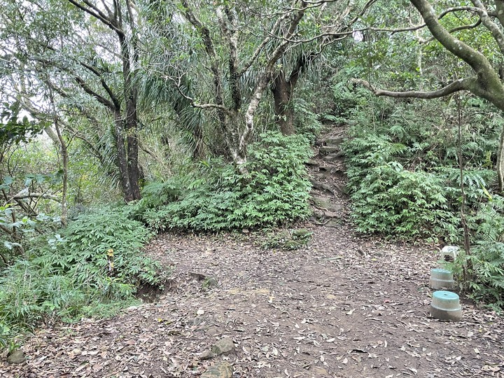 台北哪裡看雲海？二格山
