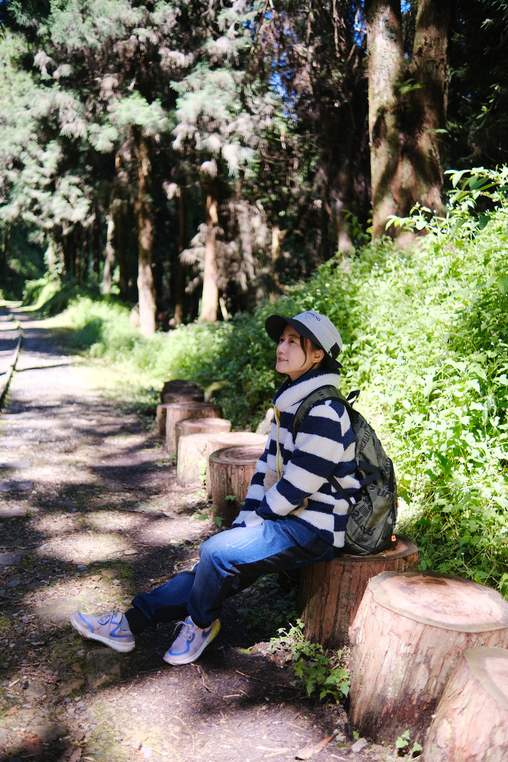 點我看大圖 【水山巨木步道 】一條結合阿里山森林鐵道文化與探訪千年水山巨木的步道