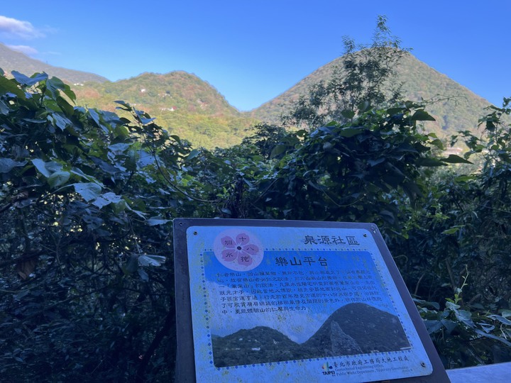 春節 / 走春 , 花燈 / 櫻花 !