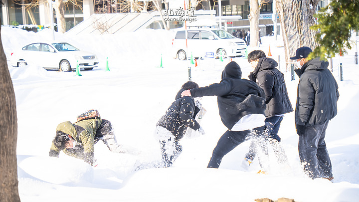 ++ OhYa ++ 北海道。冬季戀歌