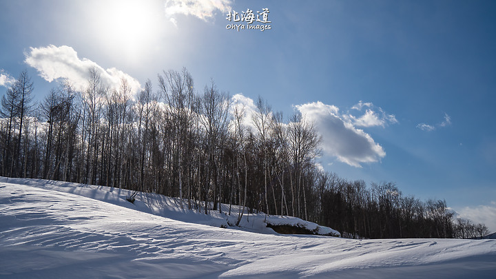 ++ OhYa ++ 北海道。冬季戀歌