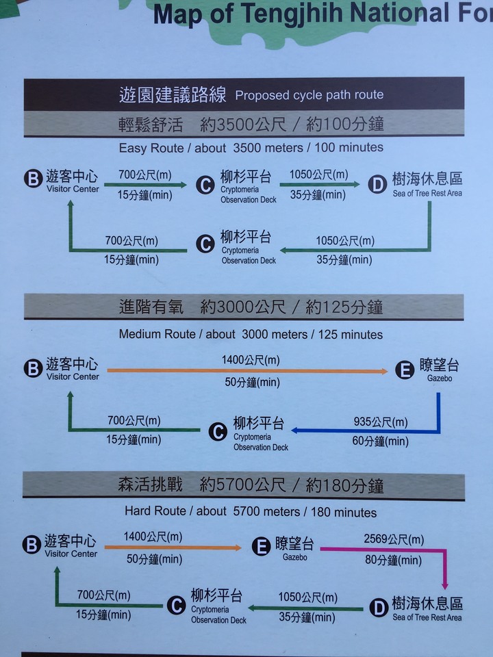 桃源賞櫻、順遊藤枝國家森林遊樂區