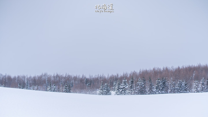 ++ OhYa ++ 北海道。冬季戀歌