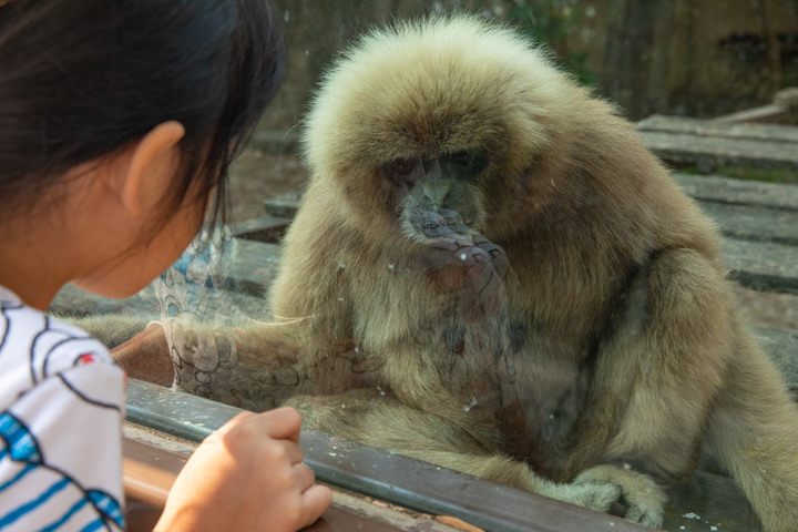 點我看大圖 壽山動物園|童年記憶的起點