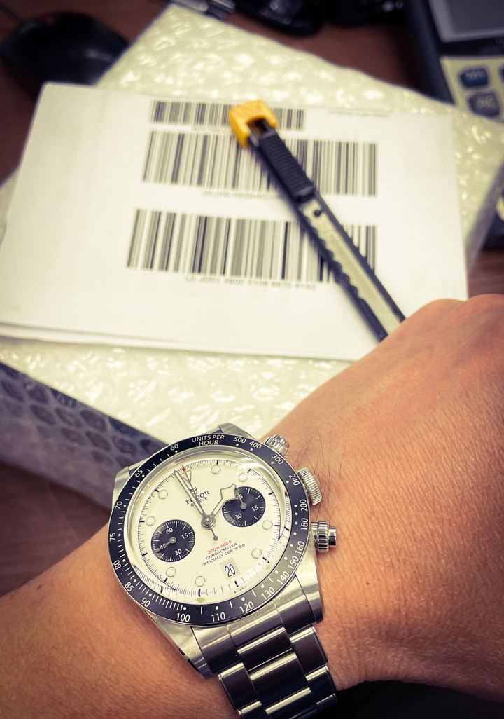 Tudor：綠鬼