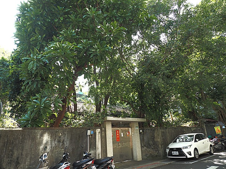 清真寺、夏慕思清真手作、永康街商圈、青田街日式建築群、溫州街蘿蔔絲餅 — 臺北市區半天小旅行