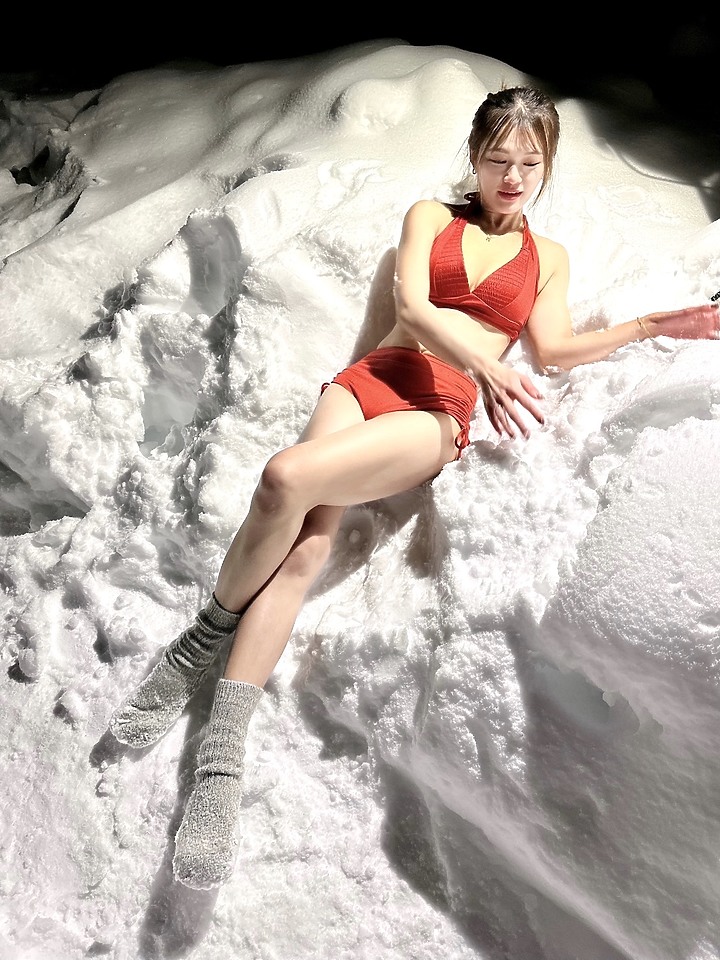 極地之旅