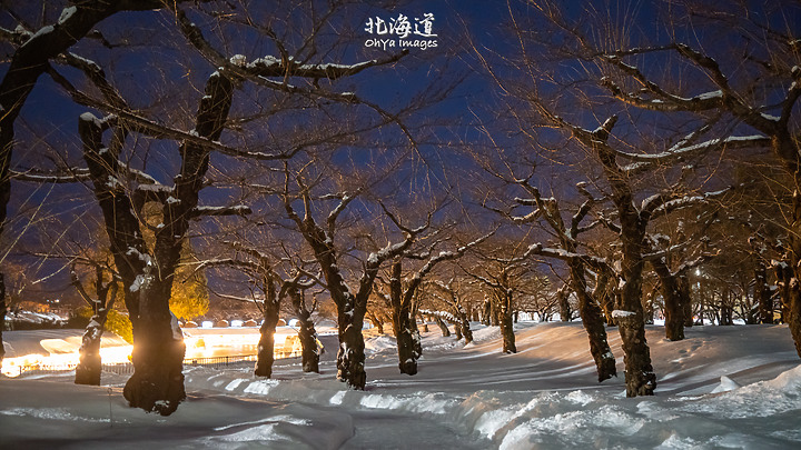 ++ OhYa ++ 北海道。冬季戀歌