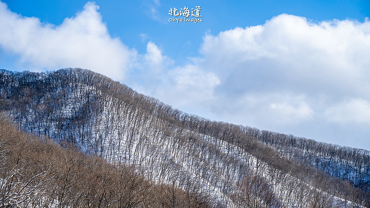 ++ OhYa ++ 北海道。冬季戀歌
