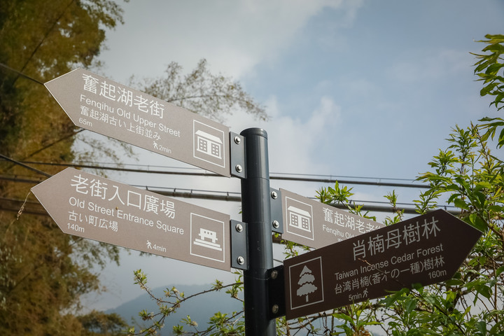 點我看大圖 阿里山櫻之道、奮起湖老街,深山處遇見滿開櫻花的露營區