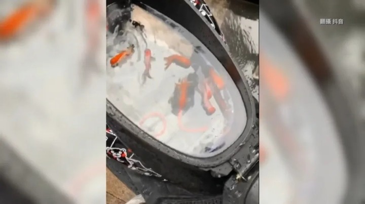 機車車箱內養魚!