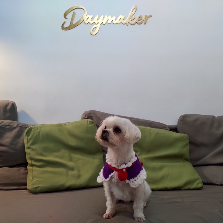 我的狗狗---時尚禦寒圍領巾