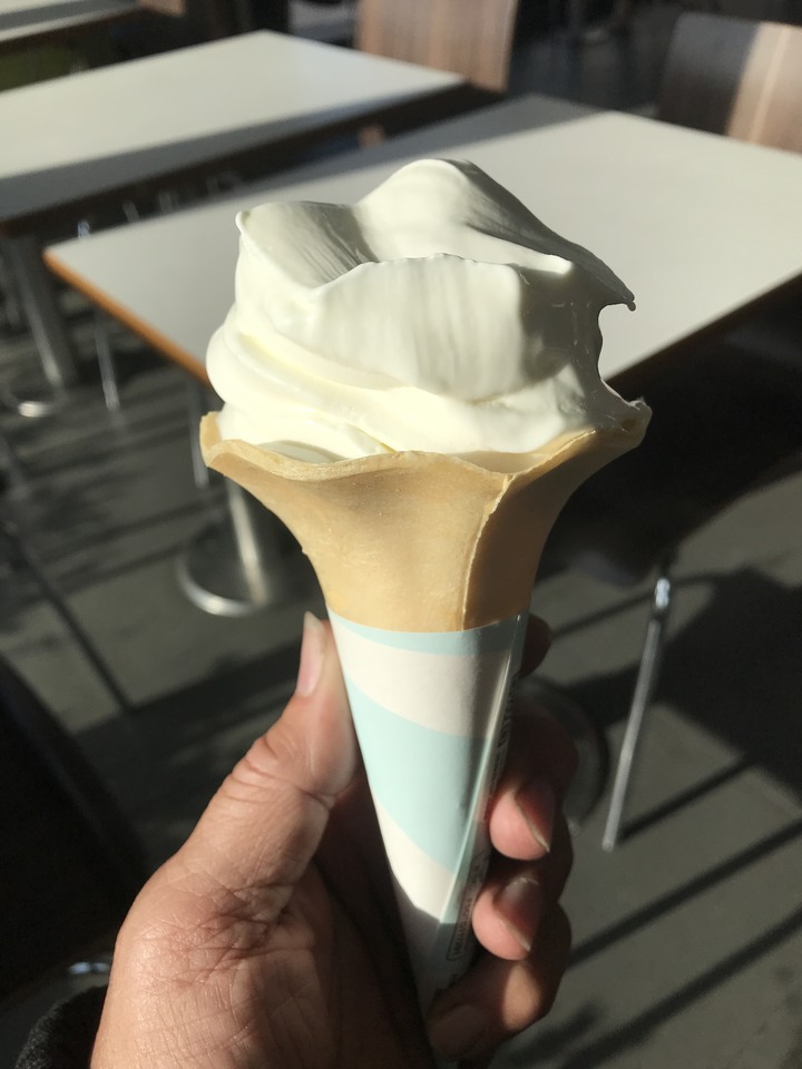 革命前夕之臨時起意摩托車環島旅行