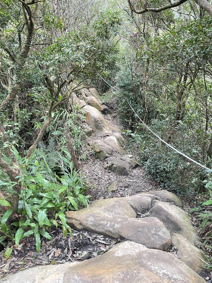 台北哪裡看雲海？二格山