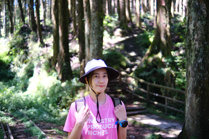 點我看大圖 【水山巨木步道 】一條結合阿里山森林鐵道文化與探訪千年水山巨木的步道