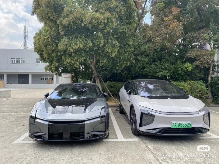 lexus 撞紅旗