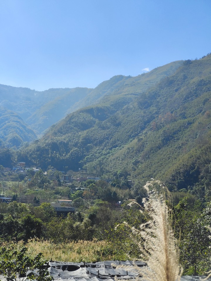 撥雲見日的八五山大橋之旅