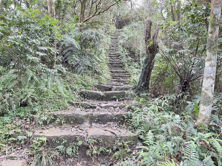 台北哪裡看雲海？二格山