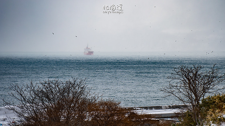 ++ OhYa ++ 北海道。冬季戀歌