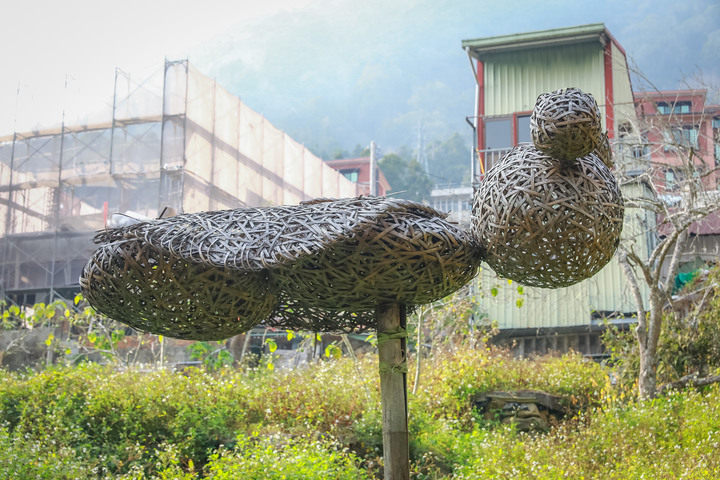 點我看大圖 阿里山櫻之道、奮起湖老街,深山處遇見滿開櫻花的露營區
