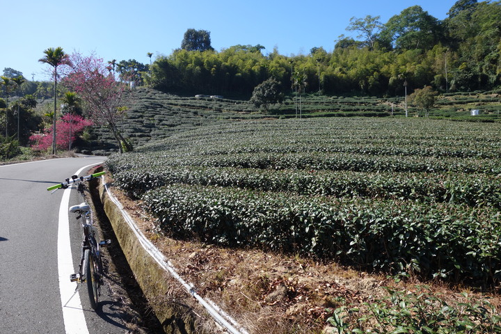 2023年春，地方爸拔騎旅，梅山36彎挑戰賽，