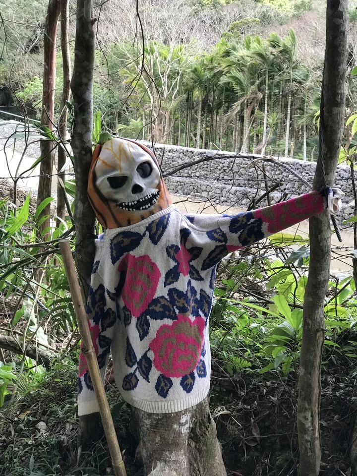 革命前夕之臨時起意摩托車環島旅行