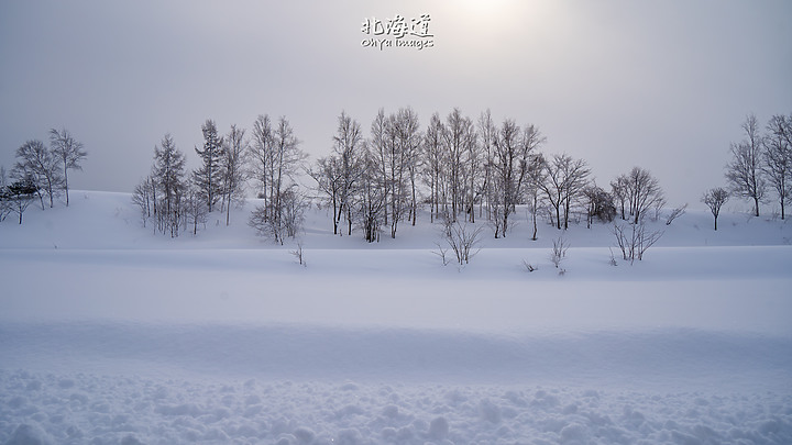 ++ OhYa ++ 北海道。冬季戀歌