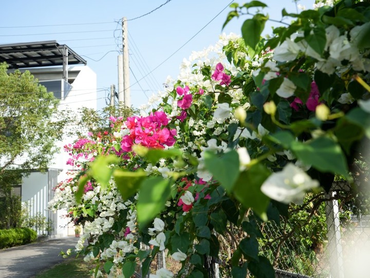 石岡親子住宿|來趟文化之旅吧 石岡水舍住宿露營賞大甲溪美景