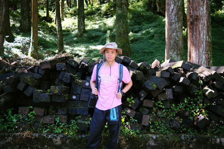 點我看大圖 【水山巨木步道 】一條結合阿里山森林鐵道文化與探訪千年水山巨木的步道