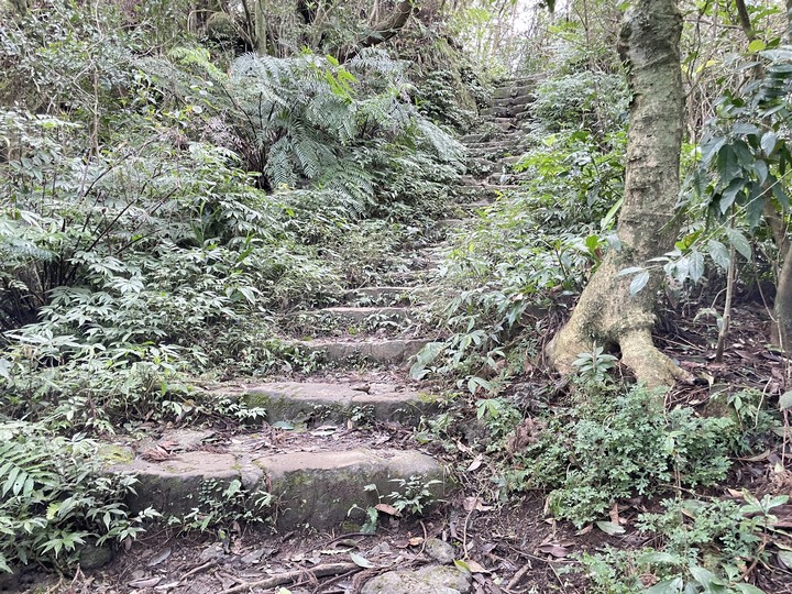 台北哪裡看雲海？二格山