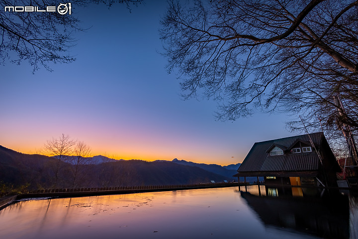 櫻花 | 武陵農場 | 兩天兩夜攝影之旅
