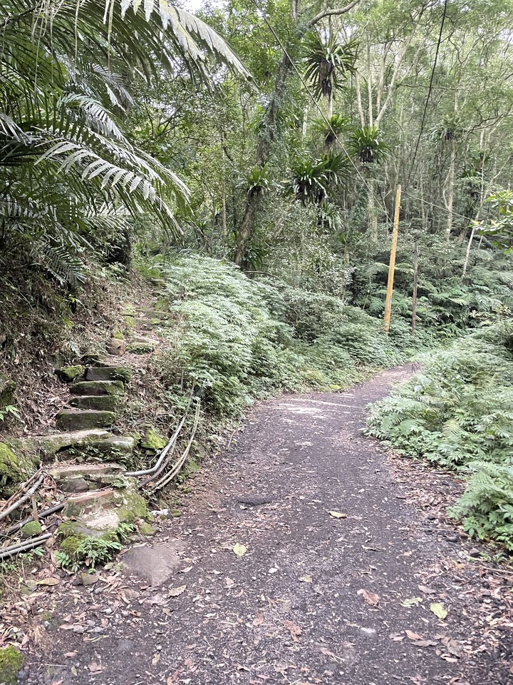 台北哪裡看雲海？二格山