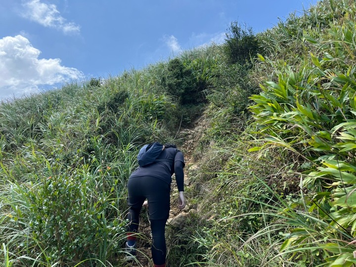 新北雙溪|燦光寮山.登頂視野遼闊,山海美景一次擁有