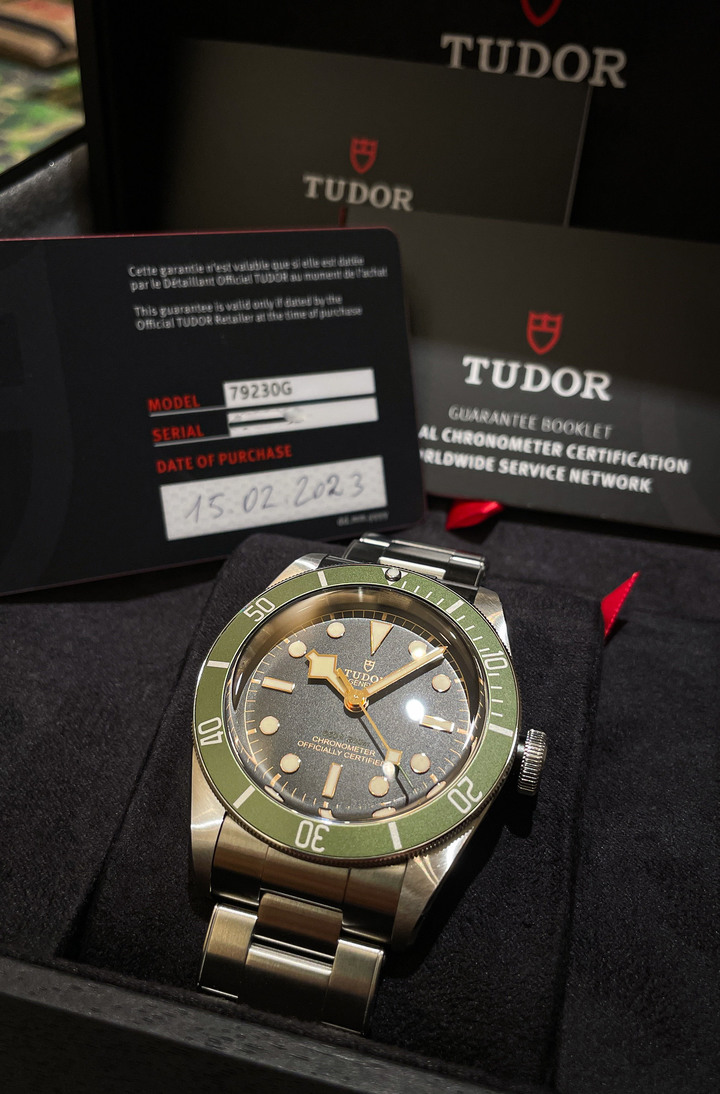 Tudor：綠鬼
