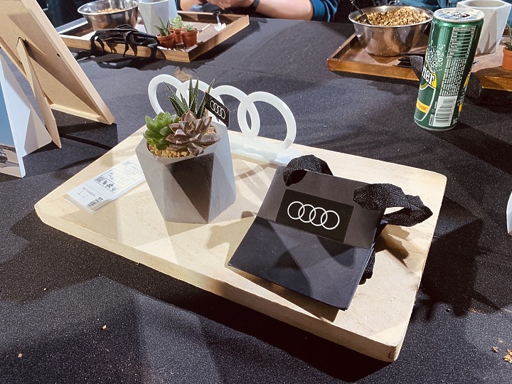 Audi Q系列越野駕馭體驗營−奧迪駕馭內心的激情！