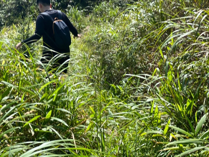 新北雙溪|燦光寮山.登頂視野遼闊,山海美景一次擁有