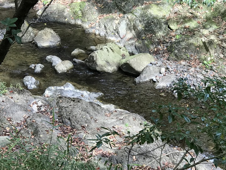 革命前夕之臨時起意摩托車環島旅行
