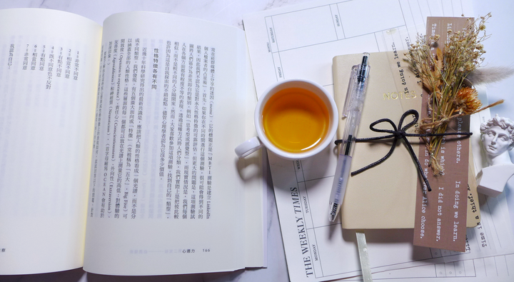 心理學/自我成長《心適力：變動不安的年代，最重要的生存素養》閱讀心得